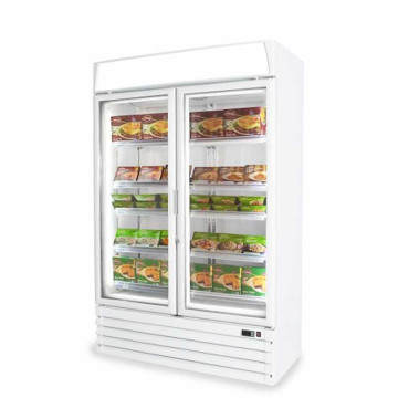 Pegasus Upright Glass Freezer