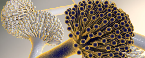 Hospital Air Purifiers Case Study