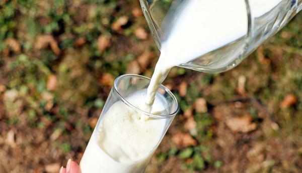 Milk: Is It More Hydrating Than Water?