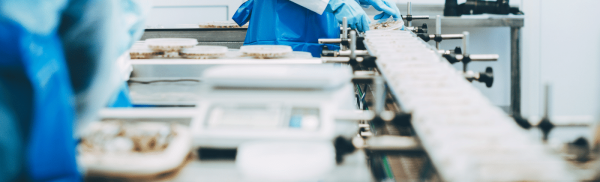 Providing a Year Round Solution in a Manufacturing Plant