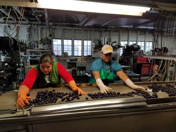 The Dangers of Not Using Temporary Climate Control in Food Processing and Storage Facilities