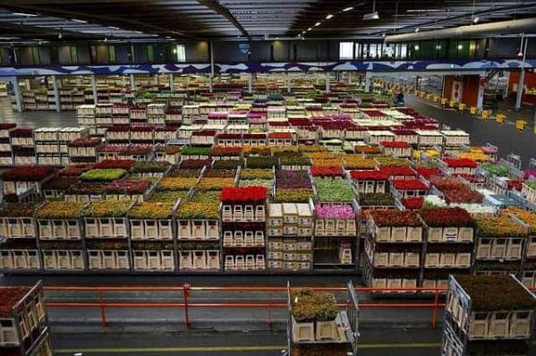 What is The Real Impact of Climate Control in Storage Space?