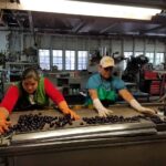 The Dangers of Not Using Temporary Climate Control in Food Processing and Storage Facilities