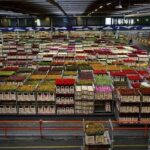 What is The Real Impact of Climate Control in Storage Space?